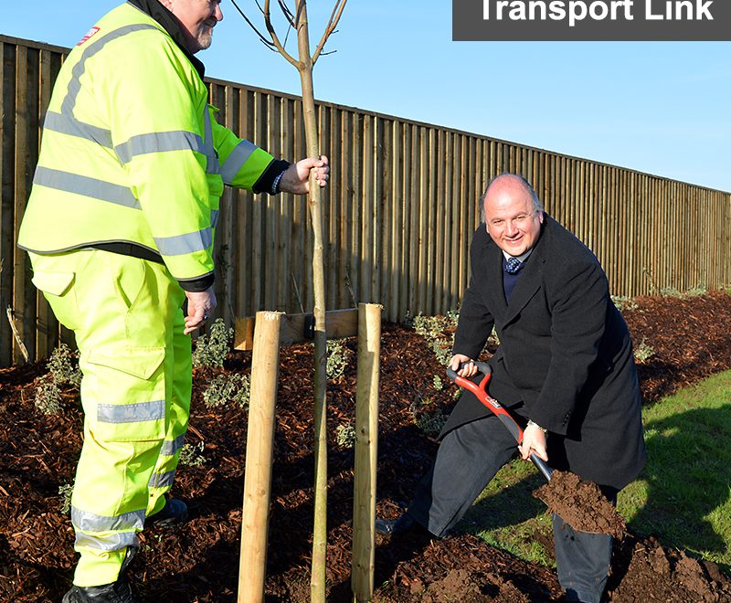 Photo of Cllr Matthew Riddle planting a tree.