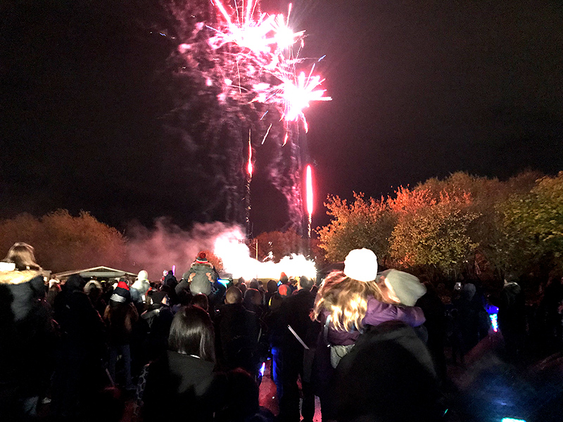 Photo of a crowd of people watching the fireworks display.