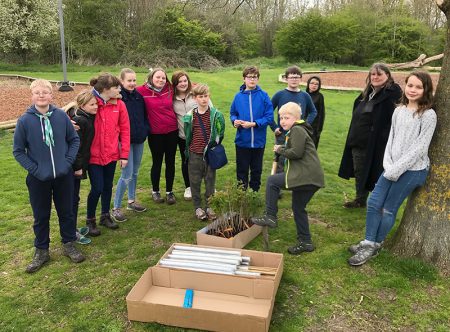 Photo of the Scouts planting saplings in Meade Park.