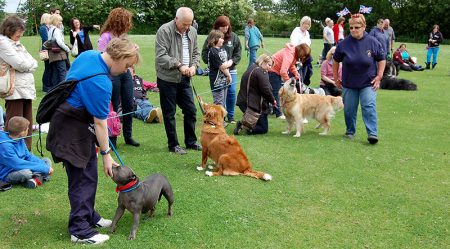 Photo of a dog show in progress at Stoke Gifford Jubilee Fête on Monday 4th June 2012.