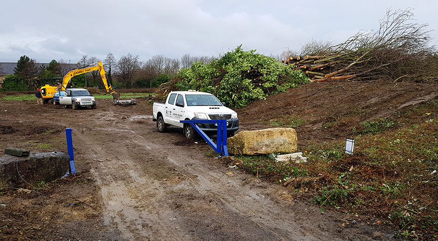 Photo of an excavator and two other vehicles near a pile of felled trees.