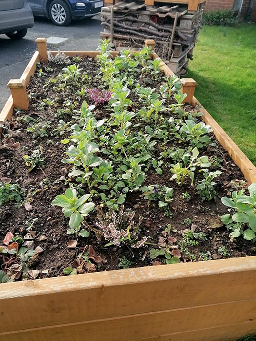 Photo of a planter.