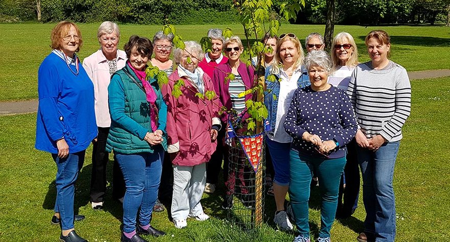 Photo of a group of women standing besides a small tree in a park.